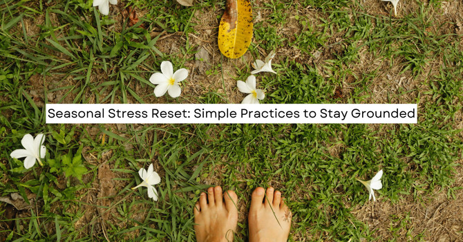 Featured Workshop Seasonal Stress Reset